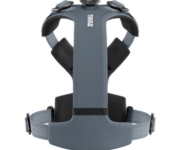 Thule Dart Hundegeschirr S Dunkelschiefer 771206 mieten