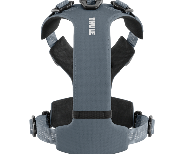 Thule Dart Hundegeschirr XS Dunkelschiefer 771205 mieten