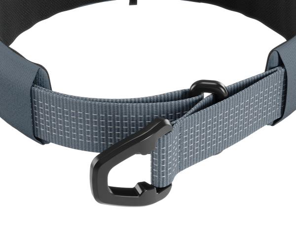 Thule Dart Martingale Hundehalsband S Dunkelschiefer 771219 mieten