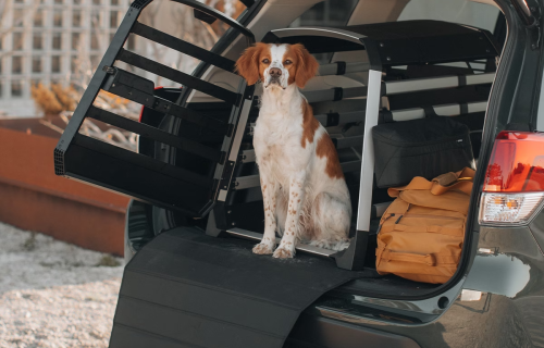 <h1>Thule Allax Hundebox – Sicher reisen mit System</h1>

<p>Die <strong>Thule Allax Hundebox</strong> steht für höchste Sicherheit, Komfort und durchdachte Funktion – ideal für alle, die ihren Hund regelmäßig im Auto transportieren. Ob auf kurzen Strecken oder langen Reisen: Die Allax bietet zuverlässigen Schutz für Tier und Mensch, leises Fahren ohne Klappern und eine flexible Passform für nahezu jedes Fahrzeugmodell.</p>