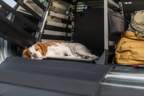 Small-Thule_Allax_Thule_Bumper_Protect_LS_Gotland_230524_M234106.jpg