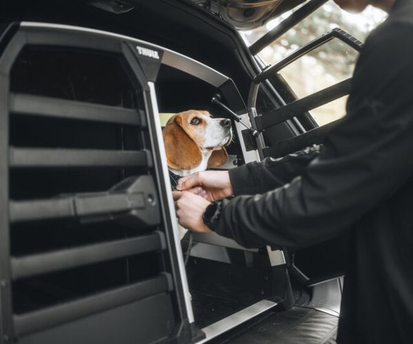 Thule Allax Double L Compact Premium Hundebox -770024 mieten