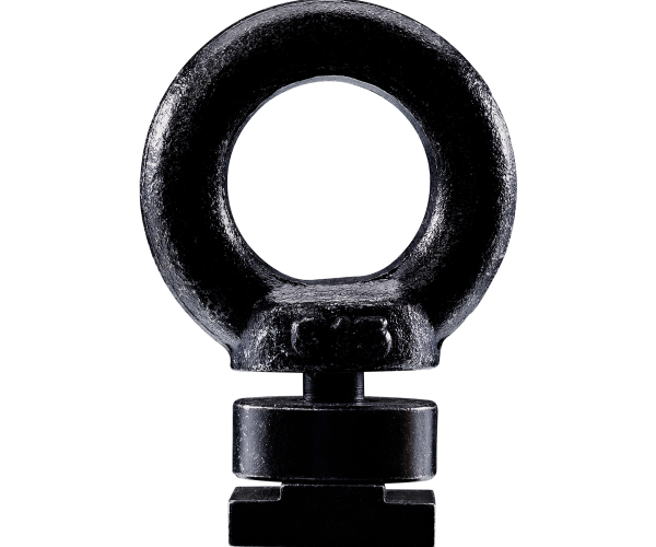 Thule Eye Bolt mieten